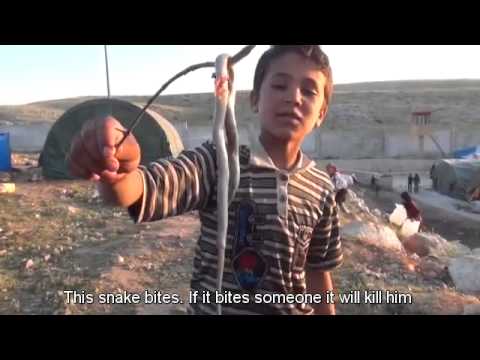 Bab Al-Hawa Camp Residents Suffer Dire Conditions