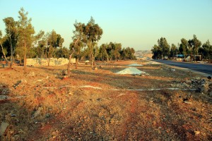The chief of one of the security forces said his unit was able to stop trees being chopped down and stolen. Photo: Hazzaa Adnan al-Hazzaa